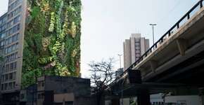 Depois do primeiro, Minhocão ganhará mais 40 jardins verticais