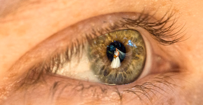 Foto: (Imagem sem texto alternativo disponivel ID [1000718])