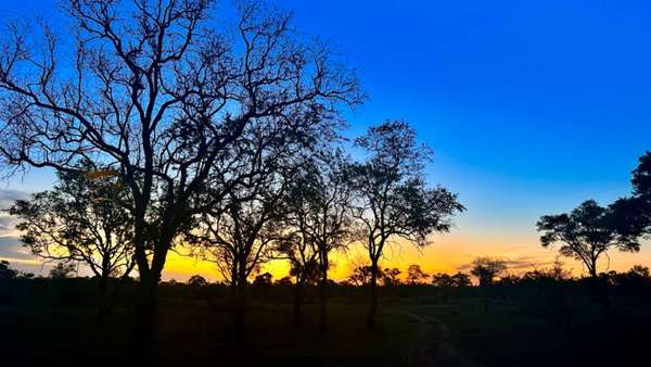 Pôr do sol na savana na África do Sul