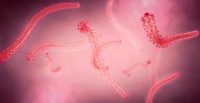 Foto: (Christoph Burgstedt/istock)