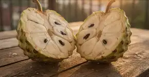 Foto: (Imagem sem texto alternativo disponivel ID [2733218])