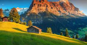 Foto: (Janoka82/iStock)