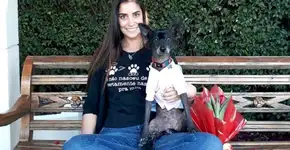 Cadelinha com câncer transforma amor em cura