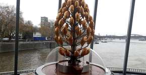 Foto: (Imagem sem texto alternativo disponivel ID [1561706])