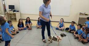 Escola em SP permite que alunos levem animais de estimação