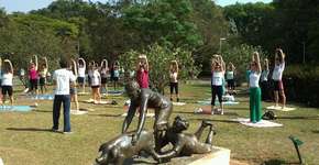 Caminhada para o Parque do Ibirapuera e alongamento