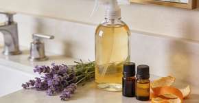 Foto: (Imagem sem texto alternativo disponivel ID [2698342])