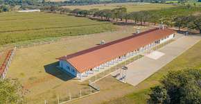 Foto: (Divulgação)