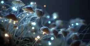 Fungos podem virar chips vivos e mudar o futuro dos computadores