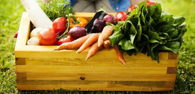 Feiras orgânicas em São Paulo