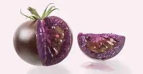 Foto: (divulgação/Norfolk Plant Sciences,)