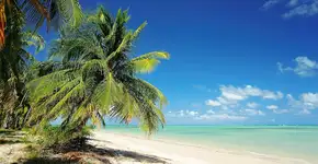 Crianças viajam de graça em pacotes promocionais da CVC; confira