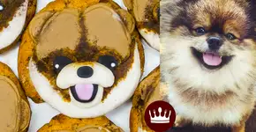 Aprenda a fazer cookies Lulu da Pomerânia