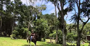 Foto: (Divulgação)