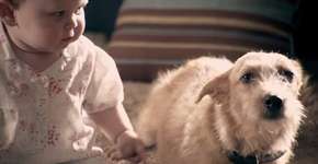 Foto: (Imagem sem texto alternativo disponivel ID [1831805])