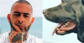 Fogaça leva cachorra para doar sangue aos animais de Brumadinho