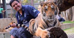 Engenheiro largou tudo para registrar suas viagens em um vídeo de 3 minutos