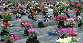 Foto: (Imagem sem texto alternativo disponivel ID [355879])