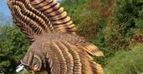 Foto: (Imagem sem texto alternativo disponivel ID [1867237])