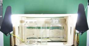 Foto: (Imagem sem texto alternativo disponivel ID [1869152])