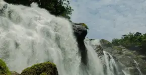 12 trilhas e passeios ecológicos para fazer em Bertioga (SP)