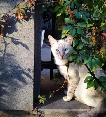 Reprodução / Instagram