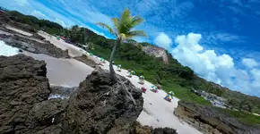 Foto: (Cristian Lourenço/iStock)