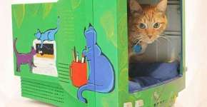Carcaças de monitores antigos viram camas para gatos