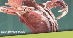 Foto: (Imagem sem texto alternativo disponivel ID [1507057])