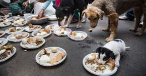 Foto: (Imagem sem texto alternativo disponivel ID [871655])