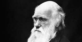 Foto: (Imagem sem texto alternativo disponivel ID [891122])