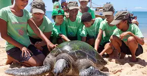 Sensibilização para educação