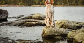 Foto: (Imagem sem texto alternativo disponivel ID [2669943])