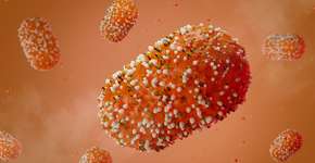 Foto: (LumerB/istock)