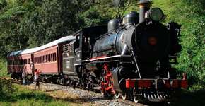 Foto: (Divulgação/ABPF)