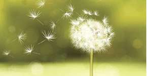 Foto: (Imagem sem texto alternativo disponivel ID [815632])