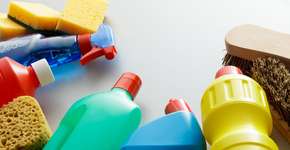 Foto: (Floortje/oStock)