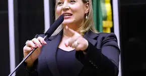 Eleições 2020: o que você precisa saber sobre Joice Hasselmann