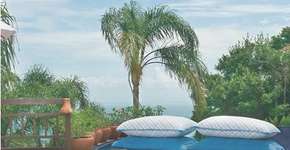 Foto: (Imagem sem texto alternativo disponivel ID [517589])