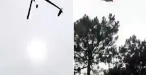 Vídeo mostra cordeiro sendo jogado de helicóptero e causa revolta