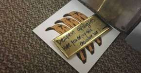 Foto: (Imagem sem texto alternativo disponivel ID [1159289])