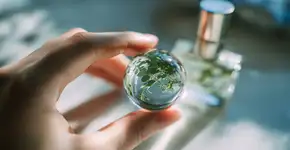 Esse é o reaproveitamento mais inteligente do seu roll-on vazio