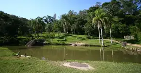 Foto: (Foto: Divulgação.)