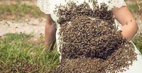 Foto: (Imagem sem texto alternativo disponivel ID [1618897])