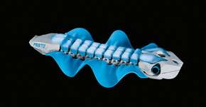 Foto: (Ruediger J. Vogel)