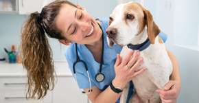 Foto: (Imagem sem texto alternativo disponivel ID [2609718])