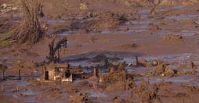 Foto: (Imagem sem texto alternativo disponivel ID [1010499])