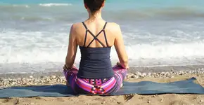 Foto: (Imagem de Renata Hille por Pixabay)