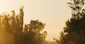 5 cantinhos pouco conhecidos para explorar na Cidade do México