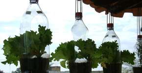 Saiba como fazer uma horta vertical com garrafas PET